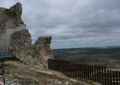 Historia y Paisaje desde el Cerro del Castillo 3